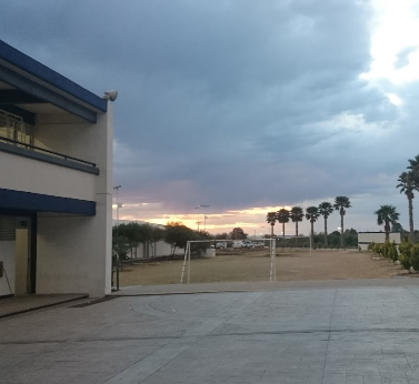 CONALEP Irapuato II