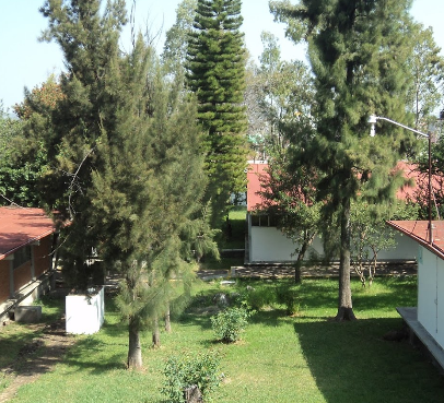 CONALEP Moroleón